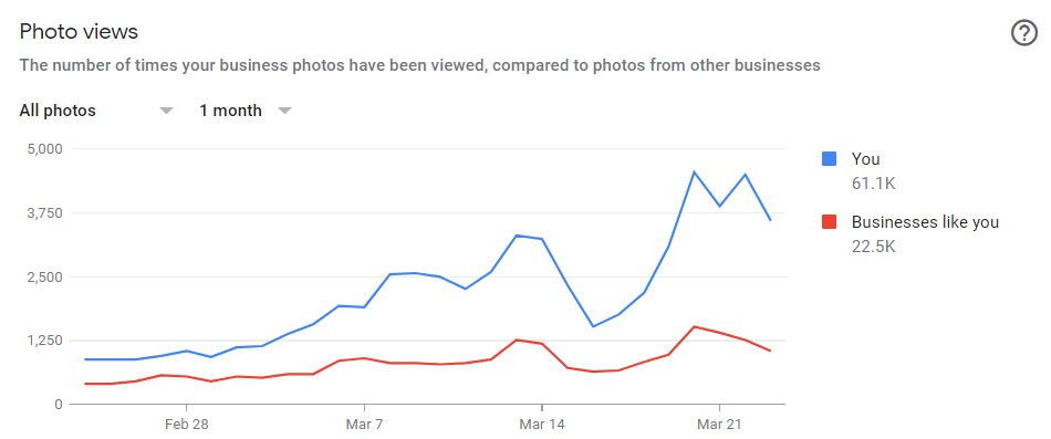 Blue and red line graph of Google My Business Insights Photo Views